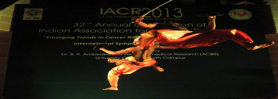 Cultural Event @ IACR 2013
